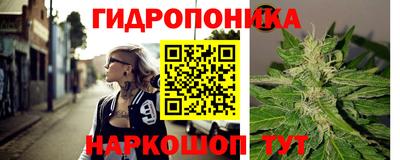 хмурый Дубна