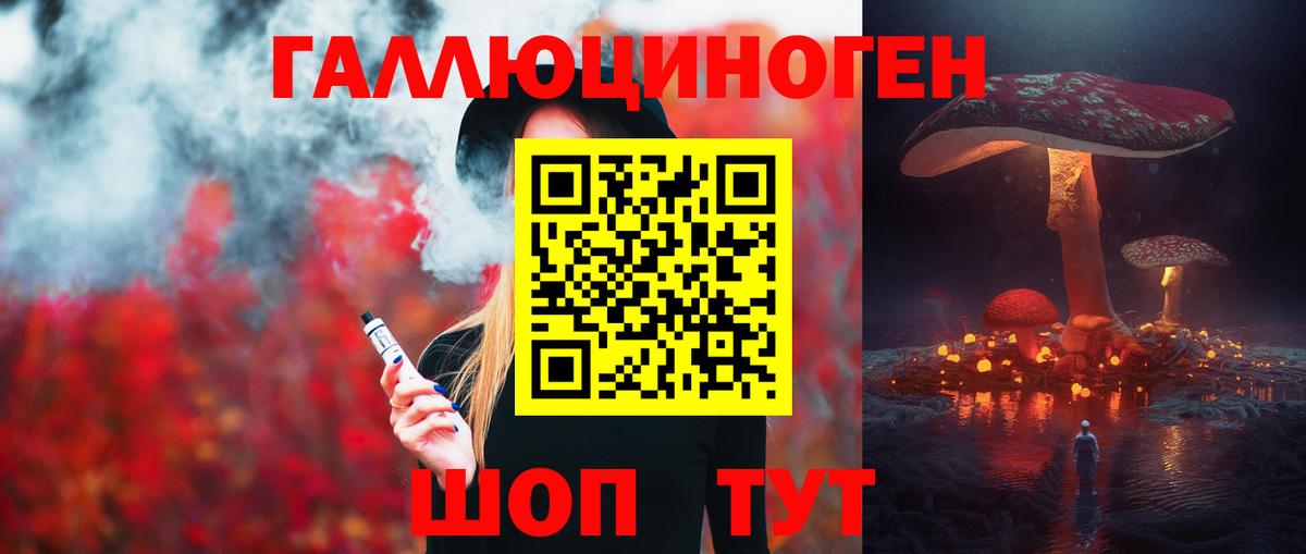 Волжск  Галлюциногенные грибы Psilocybine cubensis  Вход с VPN 